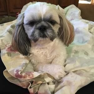 Meet your Posher, Nancy